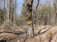 Chenango Waterfalls of Pharsalia 4-17-2016_00004.JPG