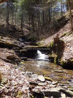 Chenango Waterfalls of Pharsalia 4-17-2016_00005.JPG