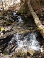 Chenango Waterfalls of Pharsalia 4-17-2016_00006.JPG
