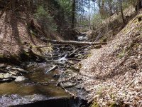 Chenango Waterfalls of Pharsalia 4-17-2016_00011.JPG