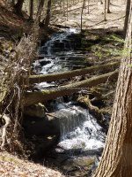 Chenango Waterfalls of Pharsalia 4-17-2016_00013.JPG