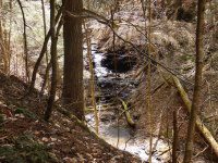 Chenango Waterfalls of Pharsalia 4-17-2016_00021.JPG