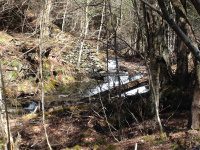 Chenango Bucks Brook Waterfalls on 4-17-2016_00010.JPG