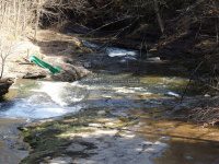 Views from the bridge on Buckley Hollow Rd 4-17-2016_00014.JPG