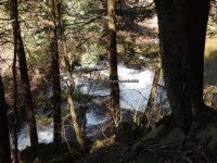 Views from the Finger Lakes Trail 4-17-2016_00010.JPG
