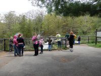 Chittenango Falls 5-14-2016_00001.JPG