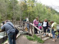 Chittenango Falls 5-14-2016_00017.JPG