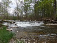 Chittenango Falls 5-14-2016_00019.JPG