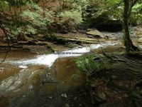 Christman Sanctuary Schenectady Ny 5-30-2016_00012.JPG