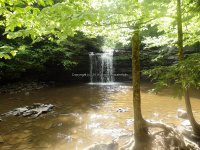 Christman Sanctuary Schenectady Ny 5-30-2016_00018.JPG