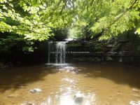 Christman Sanctuary Schenectady Ny 5-30-2016_00019.JPG