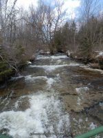 FALLS ON PLANK ROAD ONEIDA COUNTY CENTRAL NEW YORK 3-30-2013_00017.JPG