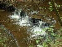 Christman Sanctuary Schenectady Ny 5-30-2016_00027.JPG