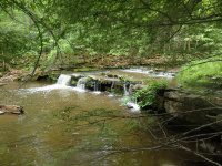 Christman Sanctuary Schenectady Ny 5-30-2016_00029.JPG