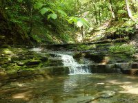 Ohisa Creek falls on Herkimer Ny 5-30-2016_00013.JPG