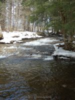 FALLS ON PROSPECT ROAD ONEIDA COUNTY CENTRAL NEW YORK 3-30-2013_00004.JPG