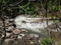 Otsquago Creek falls on Montgomery Ny 5-30-2016_00004.JPG