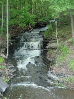 Unnamed Stream falls on Schenectady Ny Delanson 5-30-2016_00003.JPG