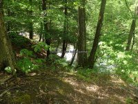 Wilsey Creek falls on MHLC Montgomery Ny 5-30-2016_00021.JPG