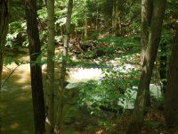 Wilsey Creek falls on MHLC Montgomery Ny 5-30-2016_00034.JPG