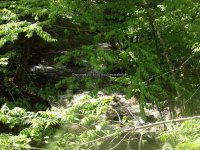 Wilsey Creek falls on Montgomery Ny 5-30-2016_00004.JPG