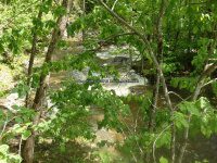 Wilsey Creek falls on Montgomery Ny 5-30-2016_00008.JPG