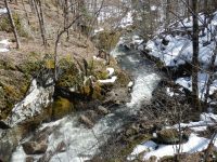 FAVILLE FALLS HERKIMER COUNTY CENTRAL NEW YORK 3-30-2013_00011.JPG