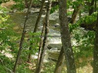 Wilsey Creek falls on Montgomery Ny 5-30-2016_00009.JPG