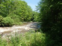 Yatesville Falls State Forest Montgomery Ny 5-30-2016_00004.JPG