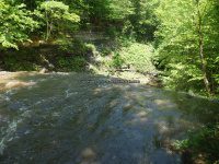 Yatesville Falls State Forest Montgomery Ny 5-30-2016_00005.JPG