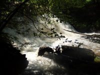 Yatesville Falls State Forest Montgomery Ny 5-30-2016_00011.JPG
