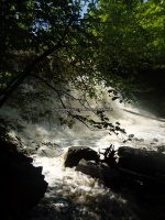 Yatesville Falls State Forest Montgomery Ny 5-30-2016_00012.JPG