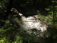 Yatesville Falls State Forest Montgomery Ny 5-30-2016_00017.JPG