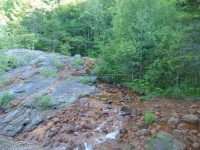 Lewis Soft Maple Scenic Overlook Falls 6-24-2016_00003.JPG