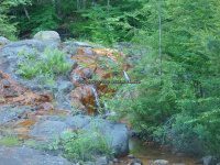 Lewis Soft Maple Scenic Overlook Falls 6-24-2016_00004.JPG