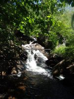 Herkimer Shallow Pond Outlet falls on 6-25-2016_00001.JPG