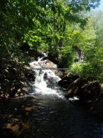 Herkimer Shallow Pond Outlet falls on 6-25-2016_00004.JPG