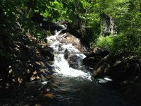 Herkimer Shallow Pond Outlet falls on 6-25-2016_00007.JPG