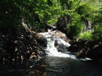 Herkimer Shallow Pond Outlet falls on 6-25-2016_00008.JPG