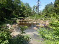 Herkimer Shallow Pond Outlet falls on 6-25-2016_00009.JPG