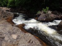 Lewis Eagle Falls Upper Section 6-29-2016_00015.JPG