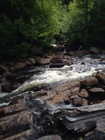 Lewis Eagle Falls Lower Section 6-29-2016_00003.JPG