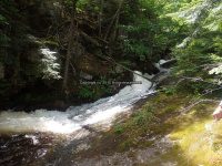 Lewis Eagle Falls Lower Section 6-29-2016_00013.JPG