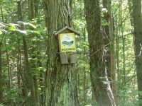 Herkimer Kettle Hole Falls 6-25-2016_00014.JPG