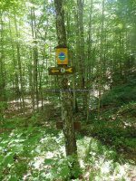 Herkimer Kettle Hole Falls 6-25-2016_00015.JPG