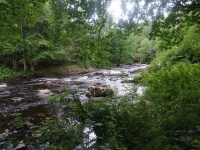 Lewis Kimballs Mills Falls 6-29-2016_00006.JPG