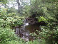 Herkimer Twitchell Creek Falls 6-27-2016_00007.JPG