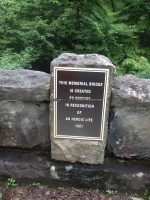 Herkimer Twitchell Creek Falls 6-27-2016_00012.JPG