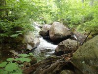 Herkimer Twitchell Creek Falls 6-27-2016_00030.JPG