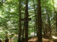 Herkimer Moshier Falls Lower Section 6-28-2016_00006.JPG